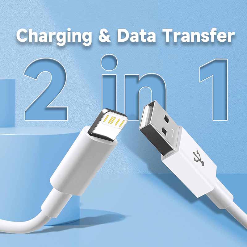 USB-A-auf-Lightning-Kabel für  – Tech Accessories Apple Bewertung und Preis